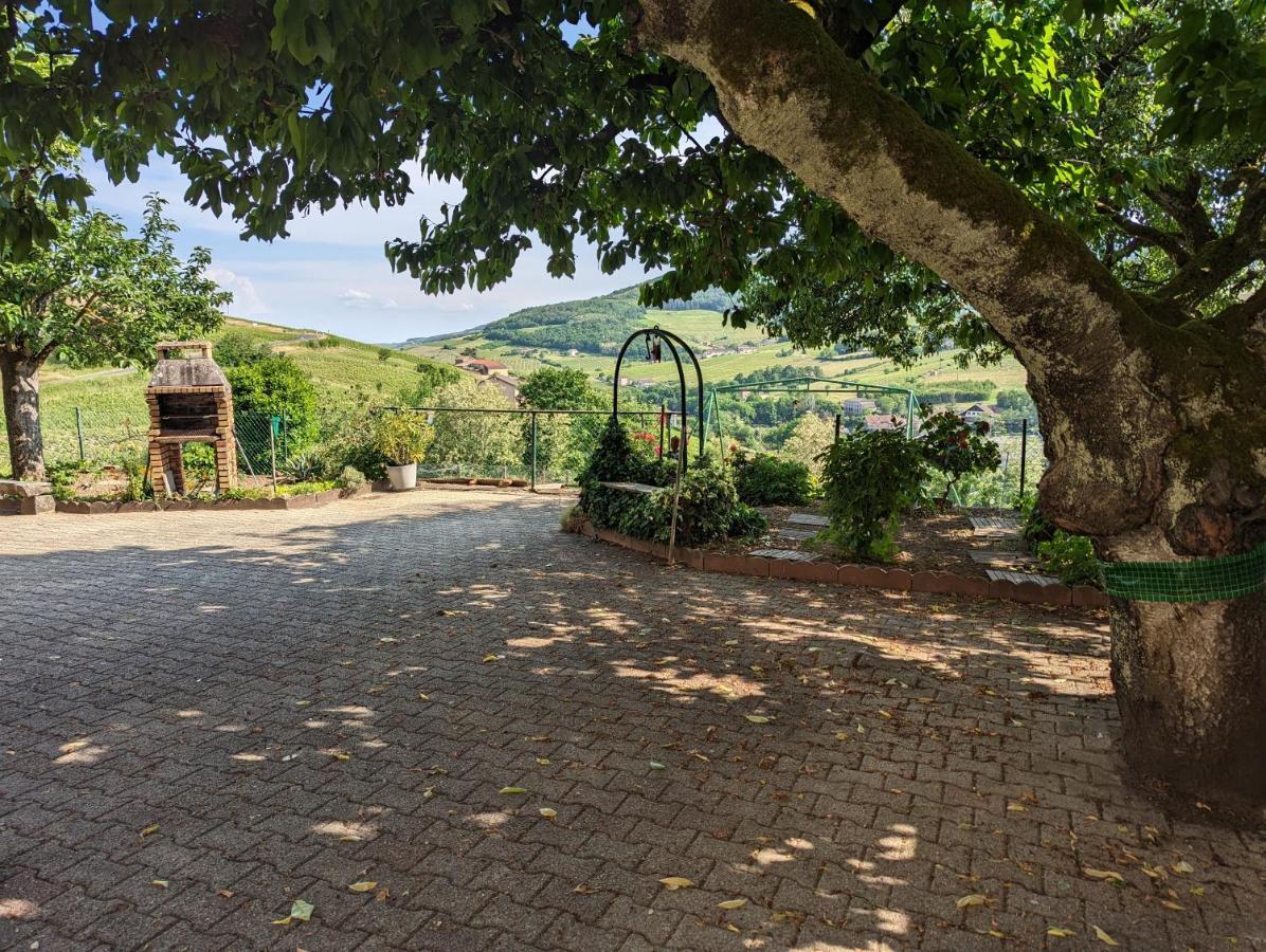 Domaine Viticole Bed and Breakfast Beaujeu  Esterno foto
